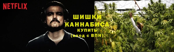прущие грибы Балахна