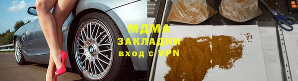 прущие грибы Балахна