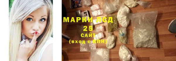 прущие грибы Балахна