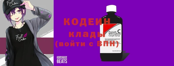 прущие грибы Балахна