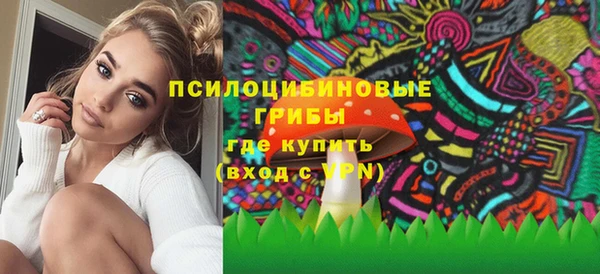 прущие грибы Балахна
