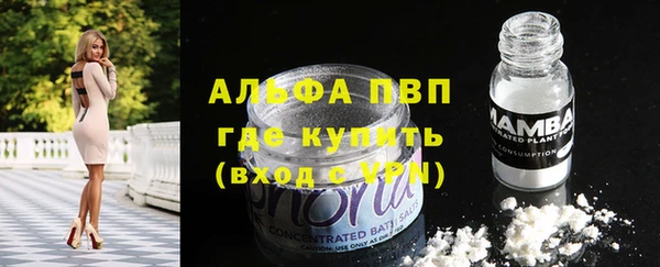 стаф Баксан