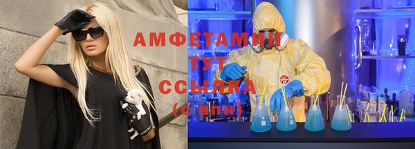 прущие грибы Балахна