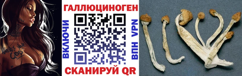 Псилоцибиновые грибы Psilocybine cubensis  гидра ссылка  Сибай 